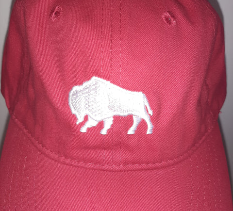Red Baseball Cap- w/White Logo